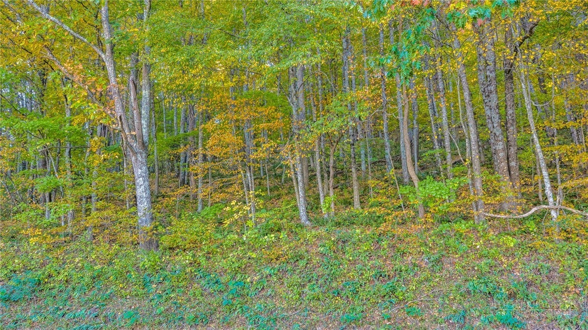 TBD Nettle Knob Road