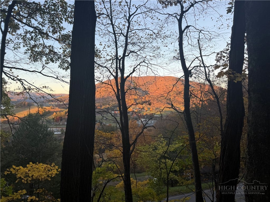 TBD Nettle Knob Road