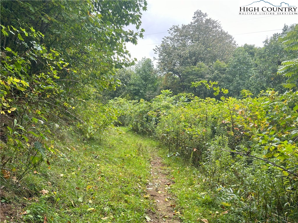 Zionville, North Carolina 28698, United States, ,Land,Active,257433