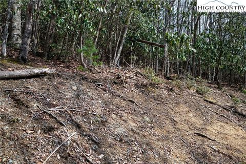 Photo of 288 Poplar Drive, Beech Mountain, NC 28604 (MLS # 260582)