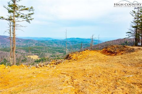 Photo of TBD Phillips Gap, Purlear, NC 28665 (MLS # 254266)