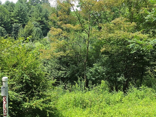 65 GEORGINA WAY, PINEY CREEK, NC 28663 - Image ace4f585fb62eeeee0712afec35cd73c/3355204010