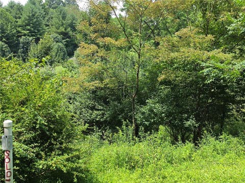 Photo of TBD lot 36 Dena Way, Piney Creek, NC 28663 (MLS # 263607)