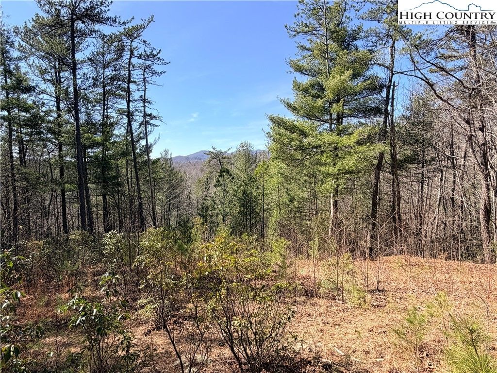 Photo of TBD (Lot 18) Hidden Creek Road, Deep Gap, NC 28618 (MLS # 260080)