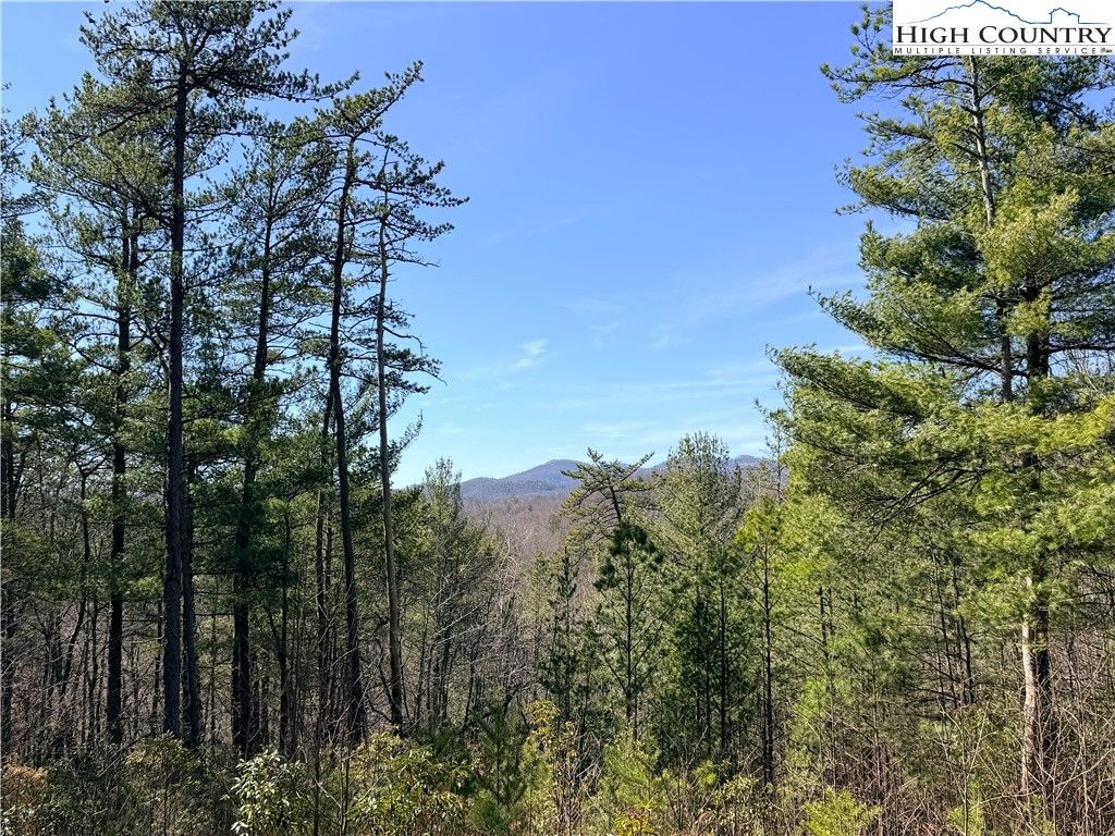 Photo of TBD (Lot 18) Hidden Creek Road, Deep Gap, NC 28618 (MLS # 260080)