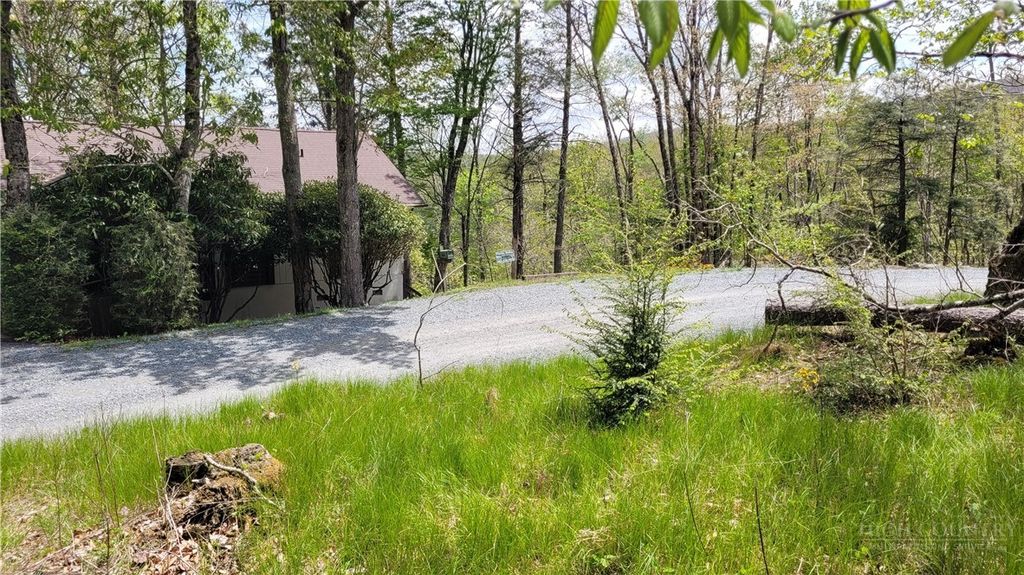 Photo of 112 Foxgrape Hollow RD, Beech Mountain, NC 28604 (MLS # 262028)