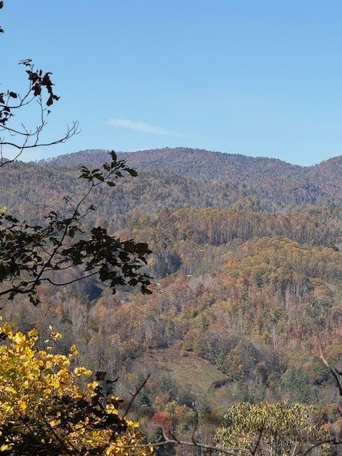 Lot 53 & 53a Poplar Trail