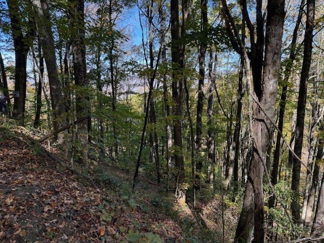 Lot 53 & 53a Poplar Trail