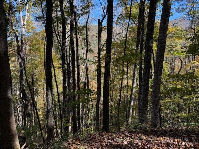 Lot 53 & 53a Poplar Trail