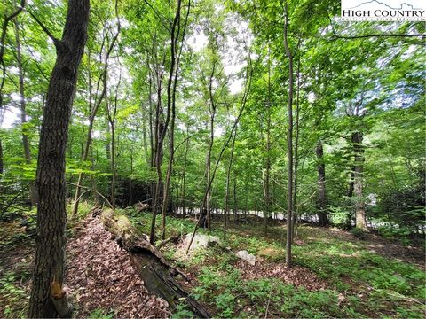 Photo of TBD Lauren Lane, West Jefferson, NC 28694 (MLS # 258706)