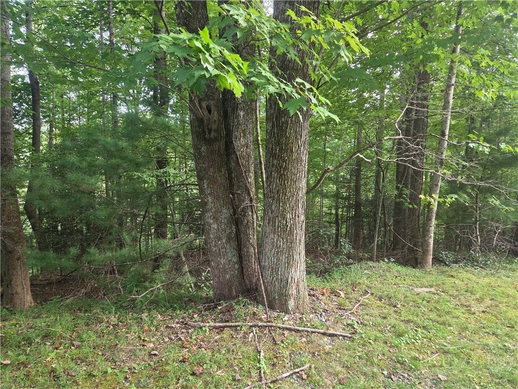 Lot 111R Powder Horn Estates Drive