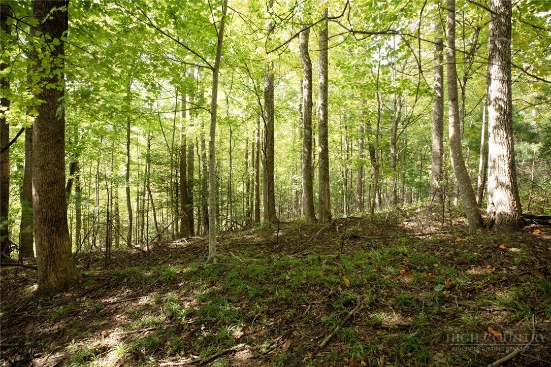 Lot 111R Powder Horn Estates Drive