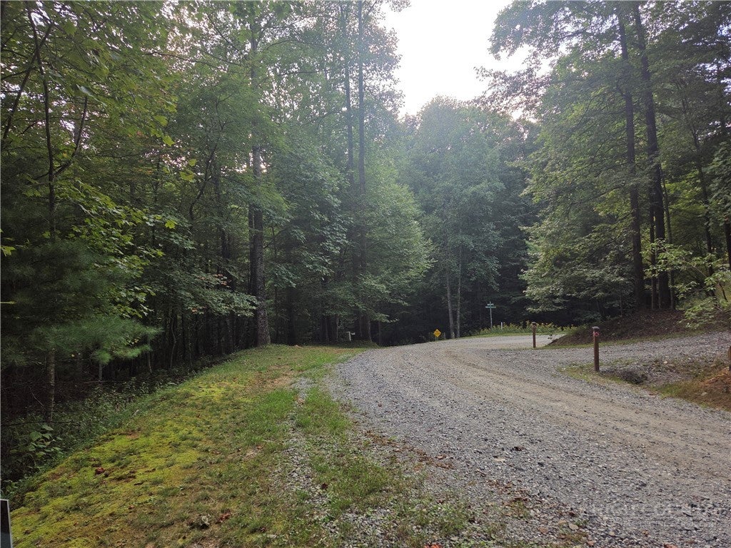 Lot 111R Powder Horn Estates Drive