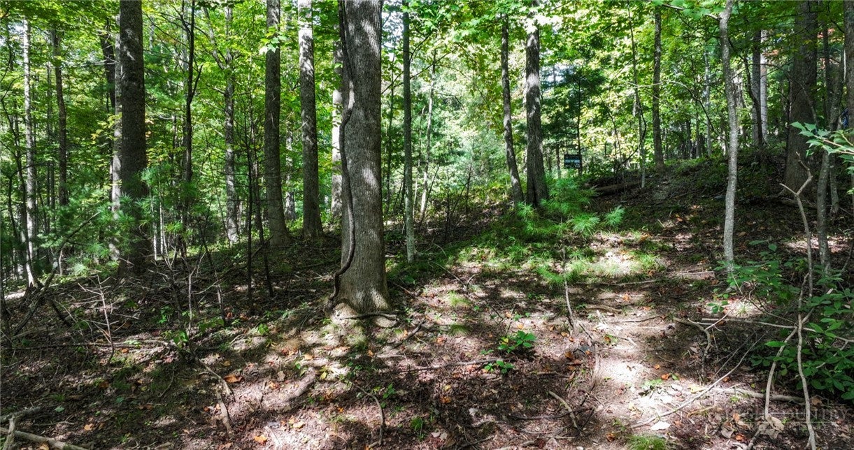 Lot 111R Powder Horn Estates Drive