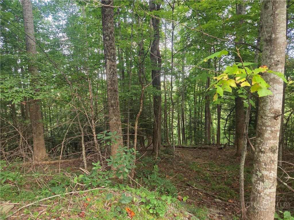 Lot 111R Powder Horn Estates Drive