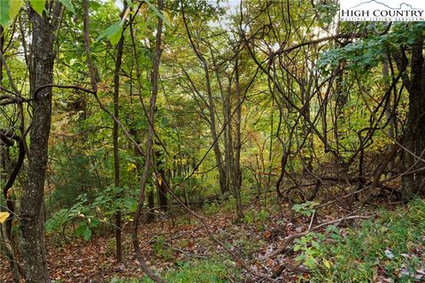 Photo of Lot 16 Little Ivy Lane, Deep Gap, NC 28618 (MLS # 258693)