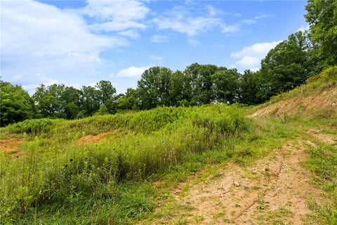 Photo of 572 Laurel Branch Road, Vilas, NC 28692 (MLS # 263685)