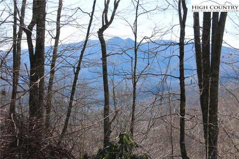 Vacant Land For Sale - TBD Elk Mountain Loop<br/> Newland, NC 28657