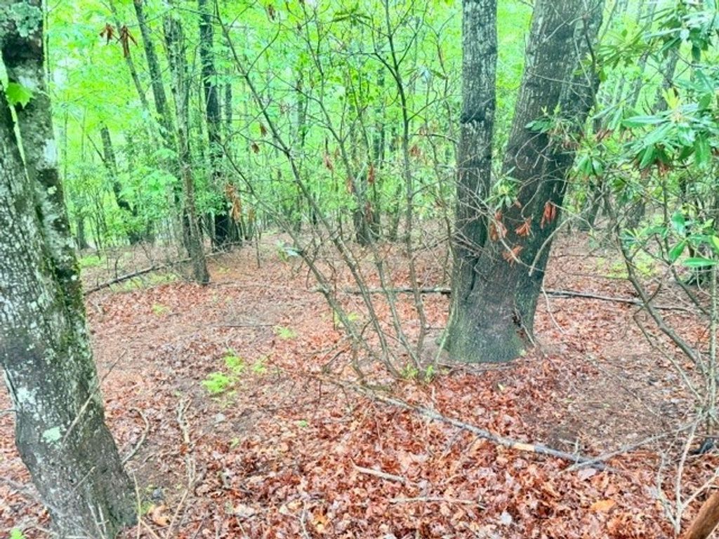 Photo of Lot 61 Sams Drive and/or James Street, Fleetwood, NC 28626 (MLS # 262176)