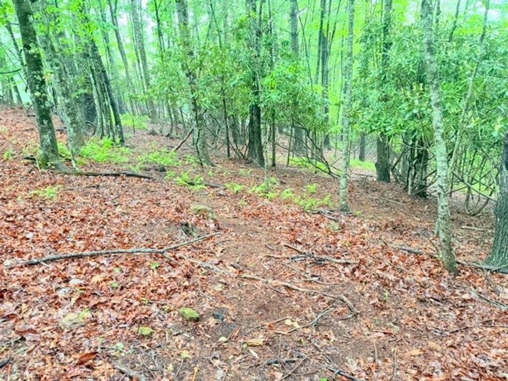 Photo of Lot 61 Sams Drive and/or James Street, Fleetwood, NC 28626 (MLS # 262176)