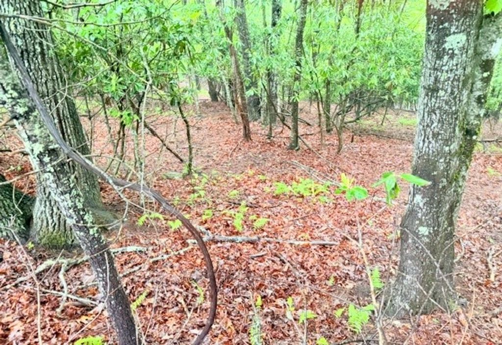 Photo of Lot 61 Sams Drive and/or James Street, Fleetwood, NC 28626 (MLS # 262176)