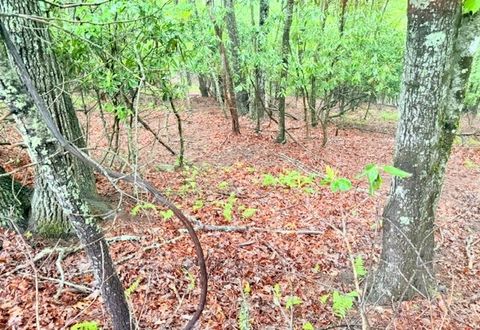 Photo of Lot 61 Sams Drive and/or James Street, Fleetwood, NC 28626 (MLS # 262176)