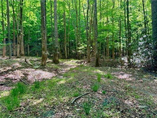 BUCKEYE RIDGE RD, BANNER ELK, NC 28604 - Image afe01ff1c98287c0d22257d1f078e97f/3034616384
