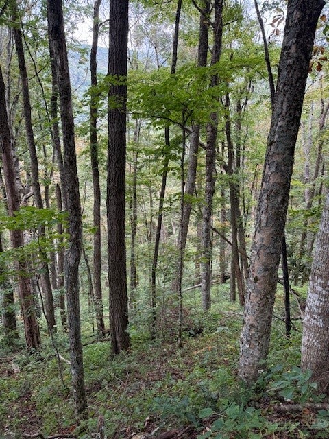 Lot 73 TBD Poplar Trail