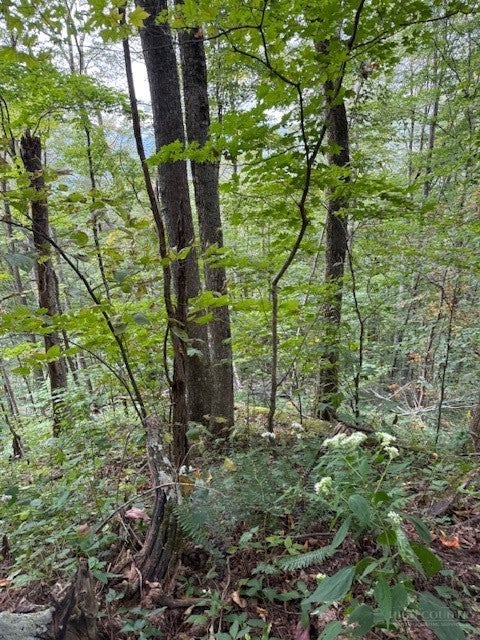 Lot 73 TBD Poplar Trail