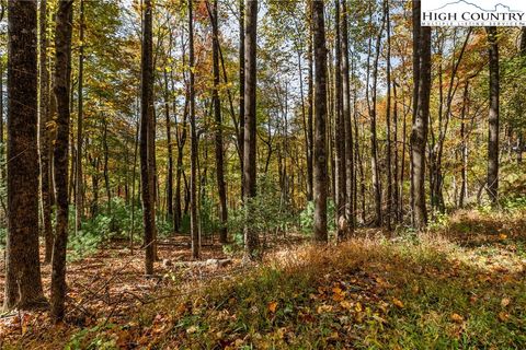 Photo of TBD - Lot 24 Ben Miller Road, Deep Gap, NC 28618 (MLS # 258841)