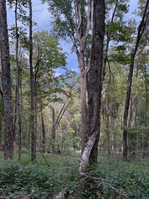 Lot 74a TBD Poplar Trail