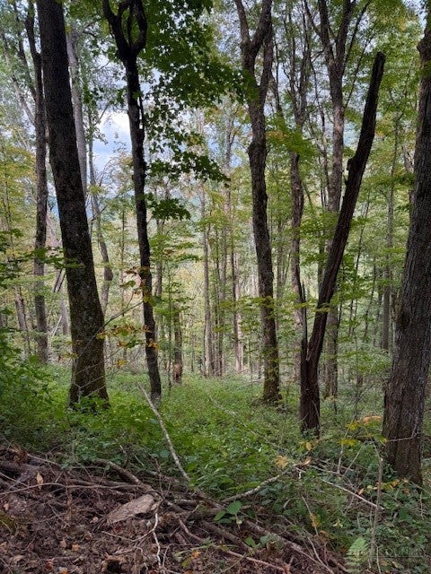 Lot 74a TBD Poplar Trail