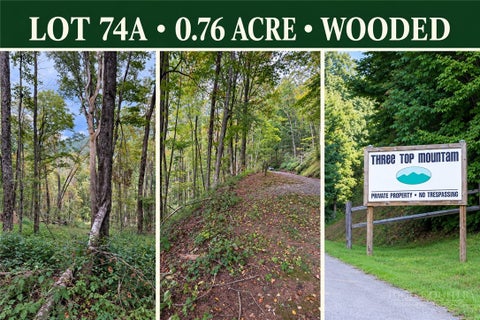 Photo of Lot 74a TBD Poplar Trail, Creston, NC 28615 (MLS # 265069)