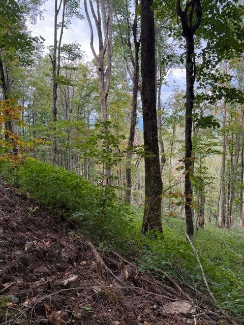 Lot 74a TBD Poplar Trail