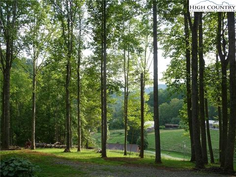 Photo of TBD Joe Shoemaker Road, Vilas, NC 28692 (MLS # 257756)