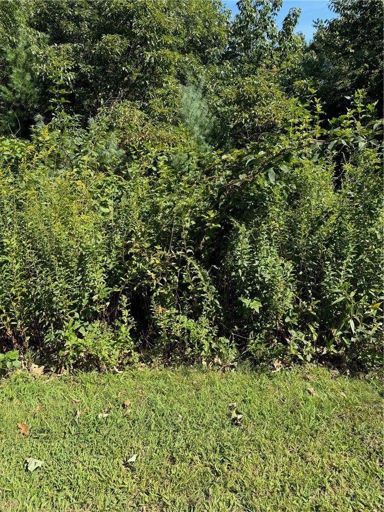 Lot 17 Parkway Pointe Drive