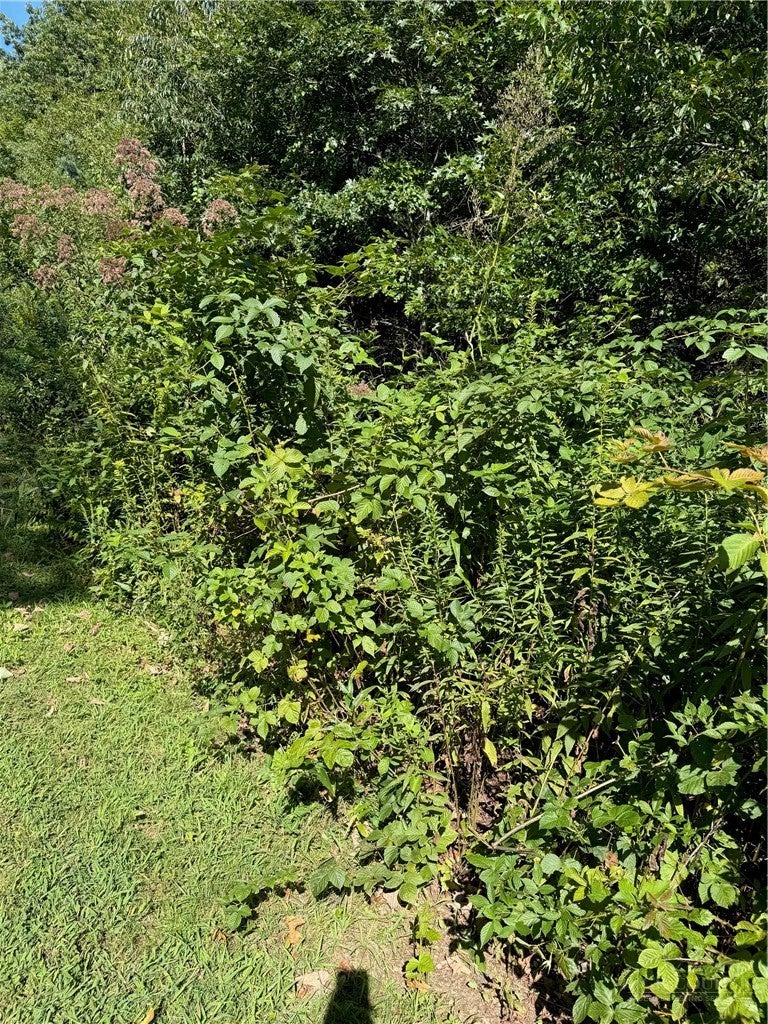 Lot 17 Parkway Pointe Drive