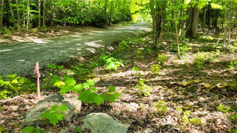Photo of TBD Buckeye Ridge Road, Beech Mountain, NC 28604 (MLS # 262068)