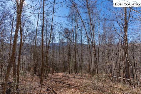 Photo of 3000 Elk River Road, Elk Park, NC 28622 (MLS # 256073)