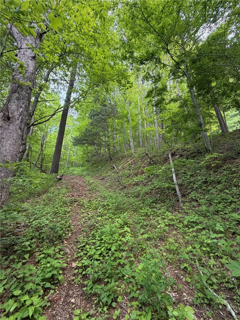 TBD Ben Bolen Road