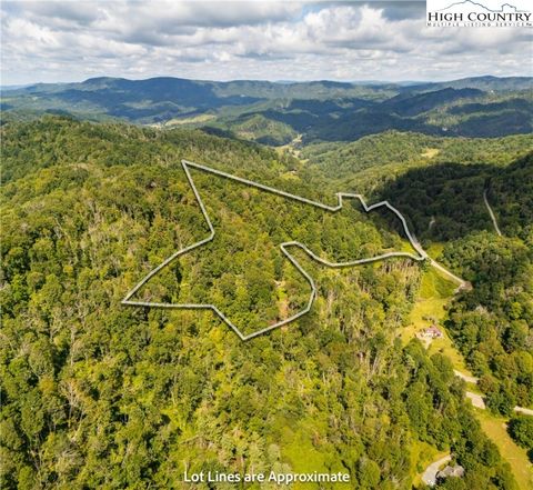 Photo of 2811 Georges Gap Road, Vilas, NC 28692 (MLS # 257444)