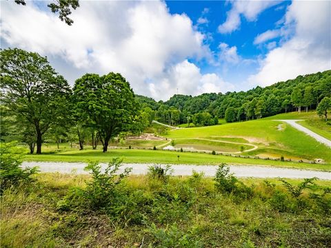 Photo of WR14 Firethorne Lane, Elk Park, NC 28622 (MLS # 261216)