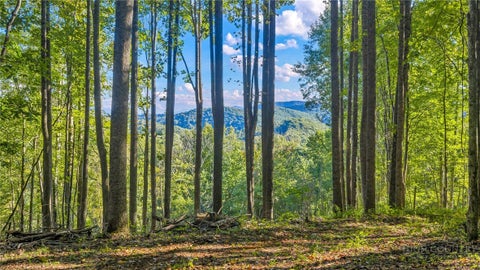 Photo of TBD Mud Creek Road, Whitetop, VA 24292 (MLS # 264679)