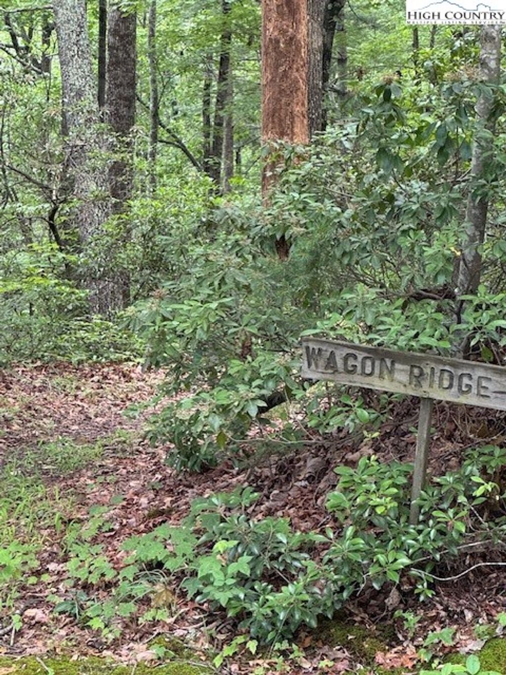 Photo of 11 Wagon Ridge Road, Ferguson, NC 28624 (MLS # 256126)