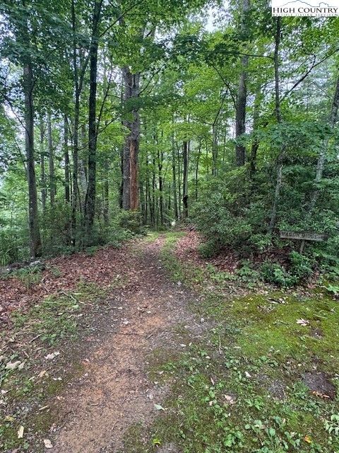 Photo of 11 Wagon Ridge Road, Ferguson, NC 28624 (MLS # 256126)