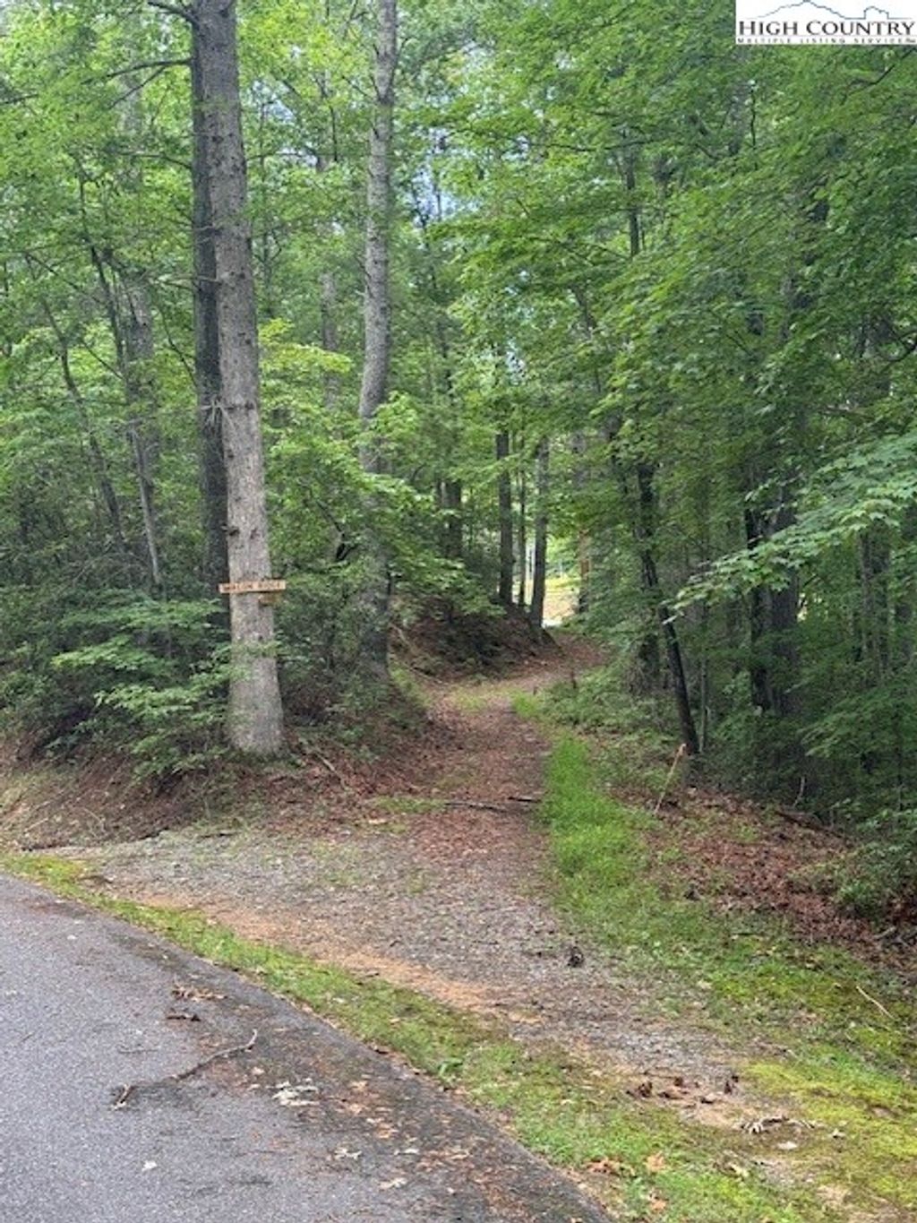 Photo of 11 Wagon Ridge Road, Ferguson, NC 28624 (MLS # 256126)