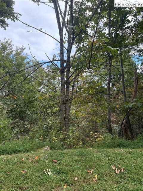 Photo of TDB Nettles Ridge Road, Banner Elk, NC 28604 (MLS # 258136)