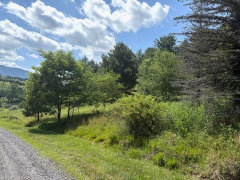 Photo of TBD Park View Drive, Jefferson, NC 28640 (MLS # 262443)
