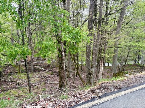 Photo of 213 Lake Road, Beech Mountain, NC 28604 (MLS # 261822)