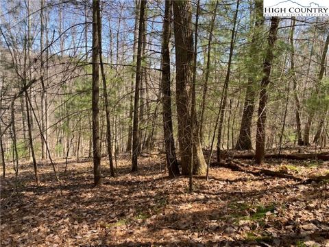 Homes For Sale - TBD Forest Hill Drive<br/> Sparta, NC 28675